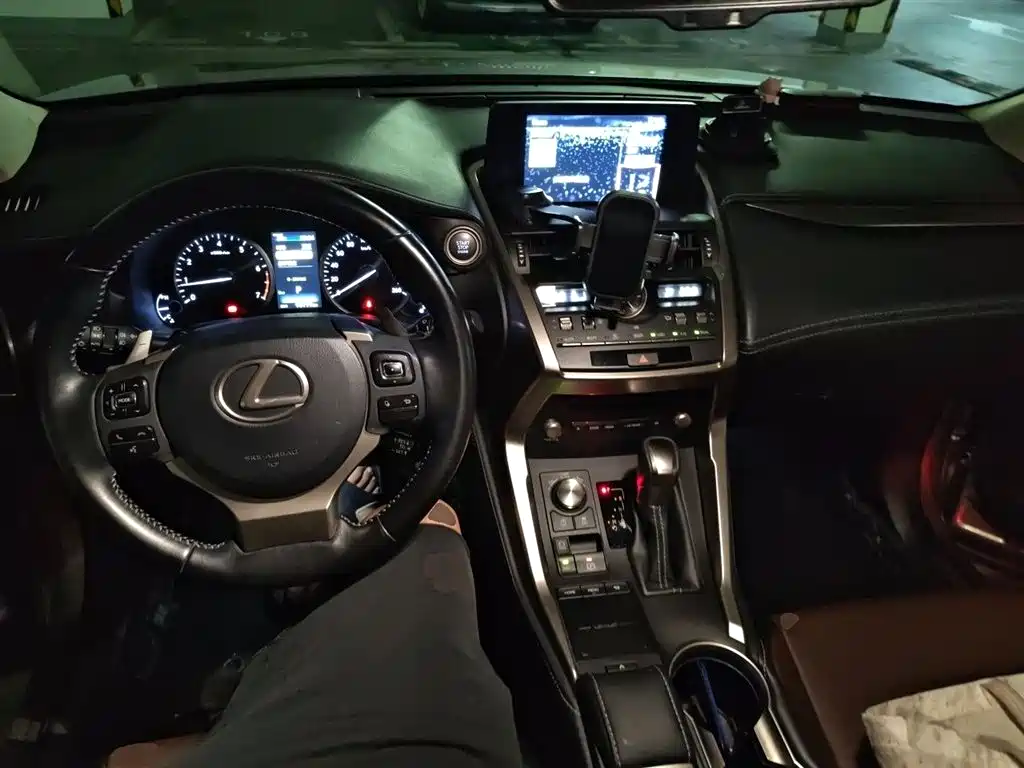 Lexus NX 2018 Model 200 FWD Fengxing Edition China V фото 10