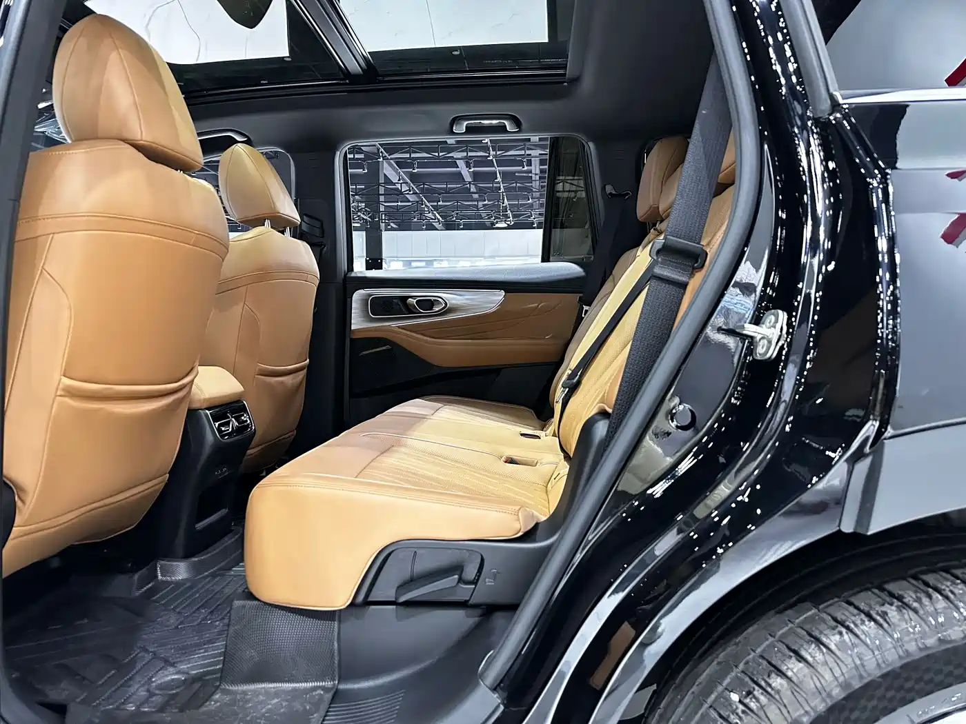 GAC Trumpchi Trumpchi GS8 2025 Pilot Series 2.0TGDI 2WD Luxury Edition 5-seater фото 13