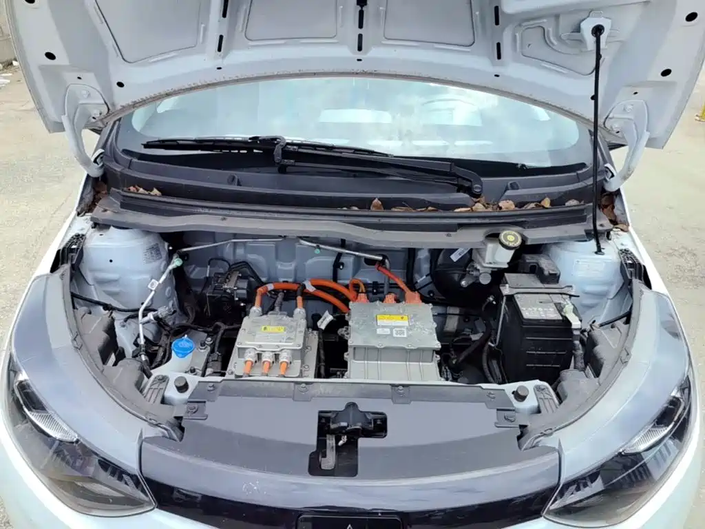 JMCG New Energy Little Kirin 2025 2024 201km Comfort Model