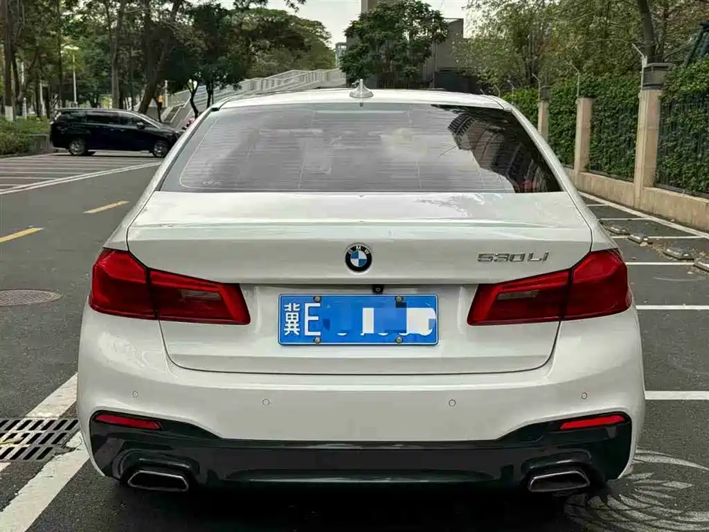 BMW 5 Series 2018 530Li Leading M Sport Package фото 5