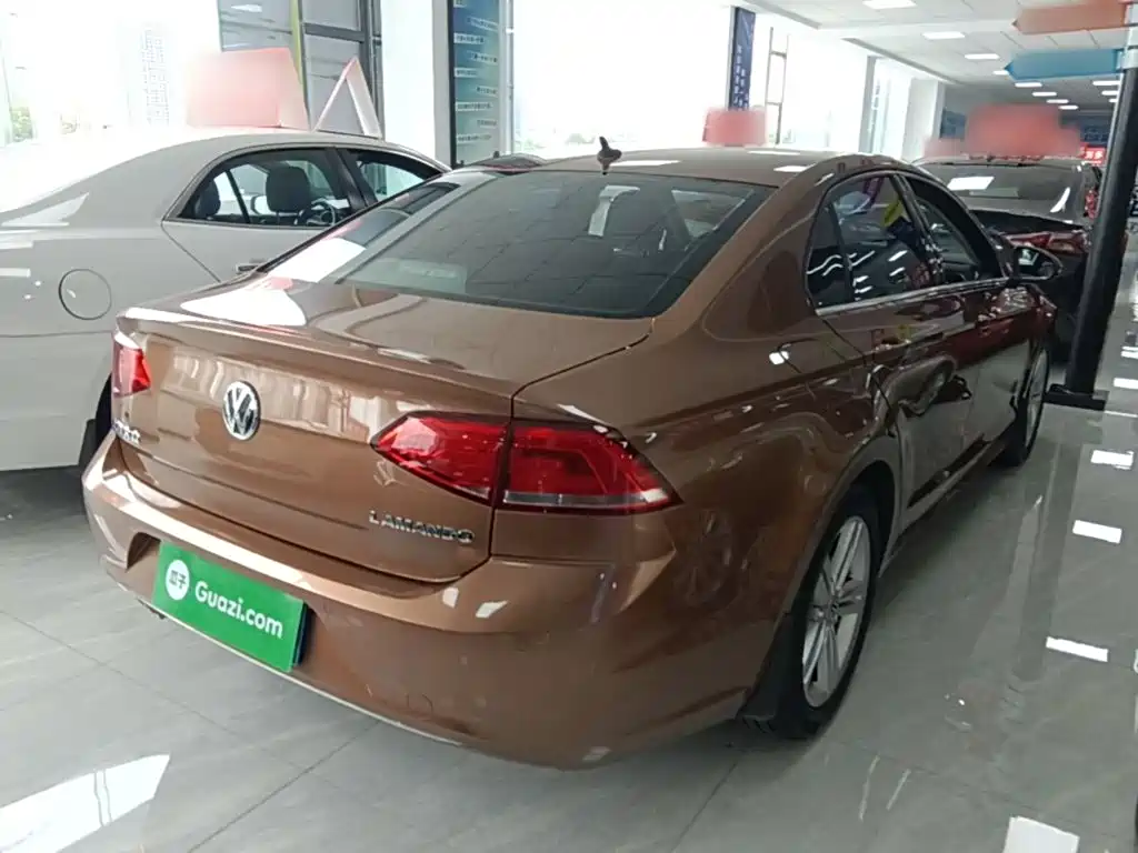 صورة 7 - Volkswagen Lamando