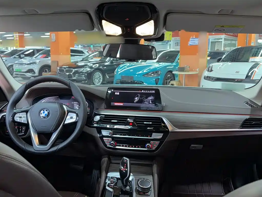 BMW 5 Series 2020 530Li Leading Luxury Package фото 14