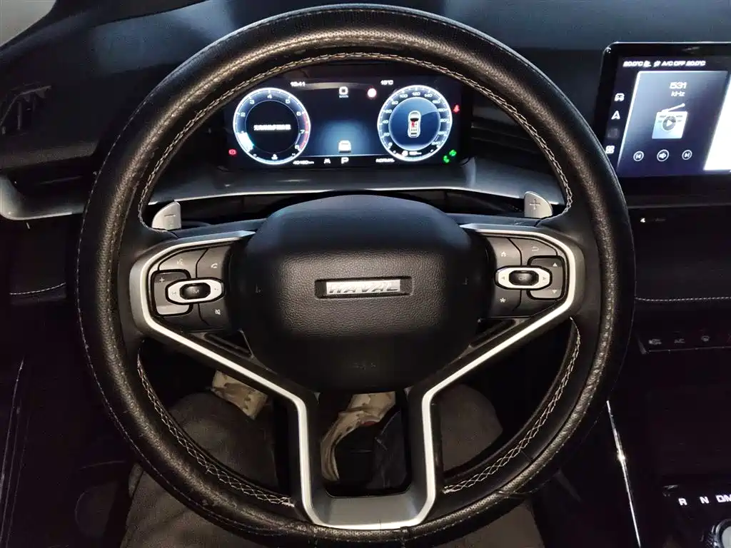 Haval H6 2021 3rd Generation 2.0T Auto 2WD Max фото 11