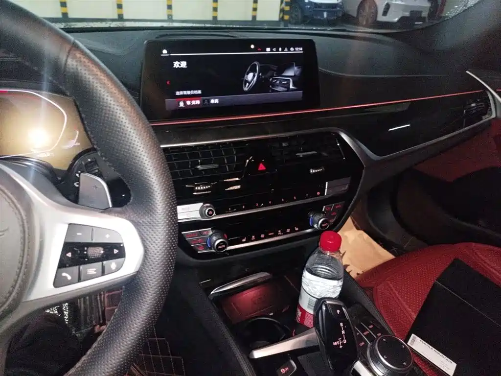 BMW 5 Series 2020 530Li Leading M Sport Package фото 14