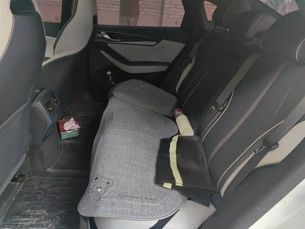 BYD Qin PLUS 2021 DM-i 55KM Flagship фото 18