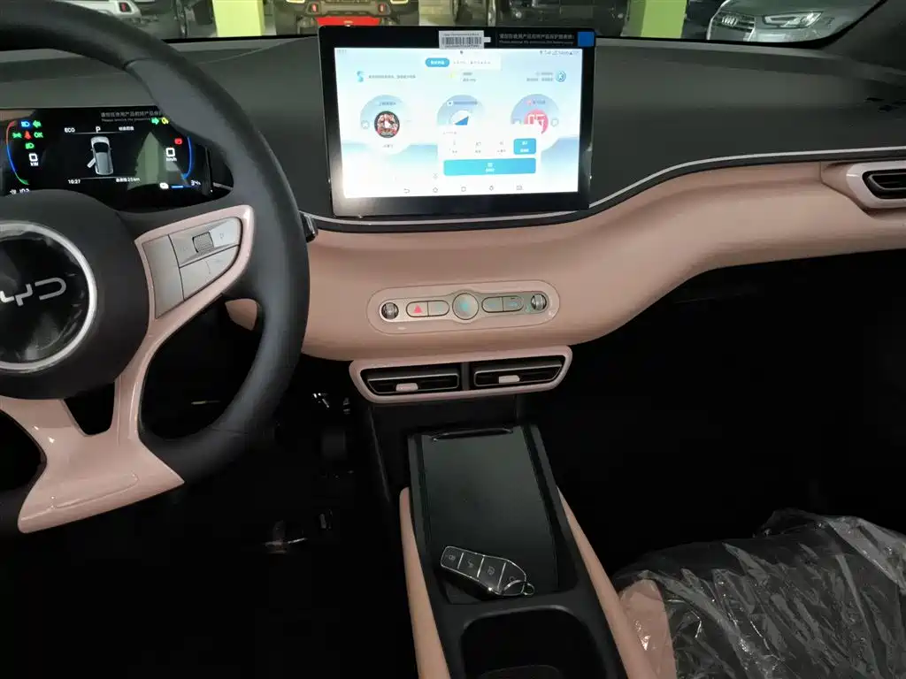 BYD Seagull 2025 Smart Drive Edition 305km Vitality Version фото 13
