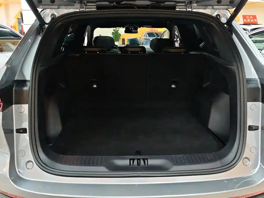 Ford Lingrui New Energy 2025 2025 Model Premium Edition PLUS