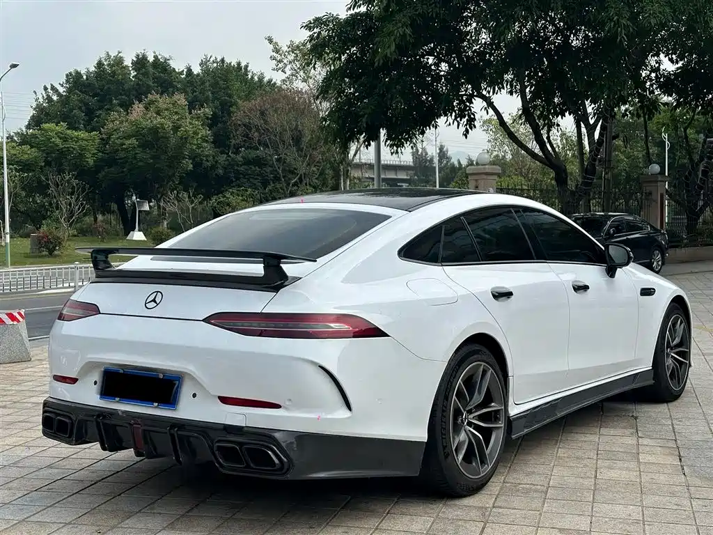 Mercedes-Benz AMG GT 2019 AMG GT 50 4-Door Coupe фото 6