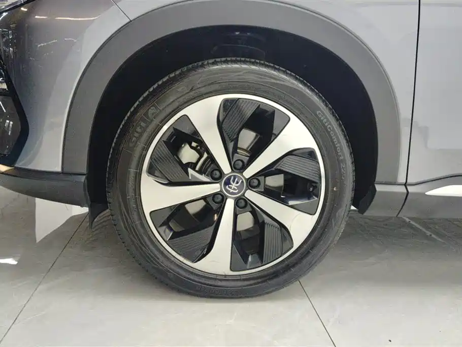 BYD Song PLUS PHEV 2021 EV Flagship фото 6