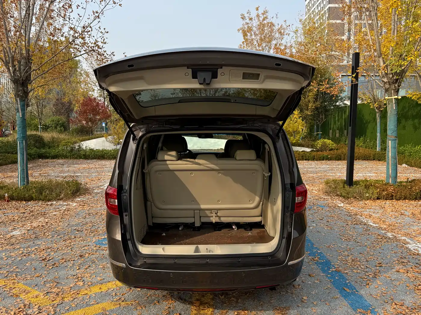 Buick GL8 2017 25S Luxury China V фото 18