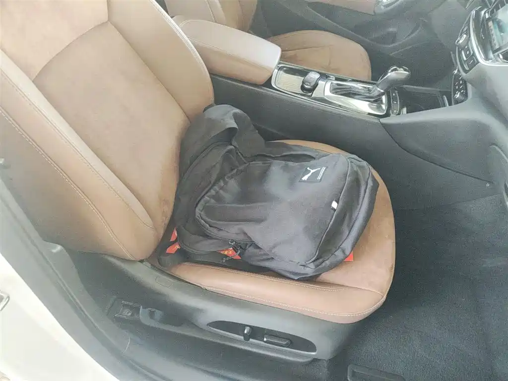 Buick Regal 2017 20T Elite Type фото 20