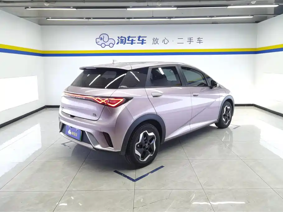 BYD Dolphin 2021 Model 405km Fashion Edition фото 3