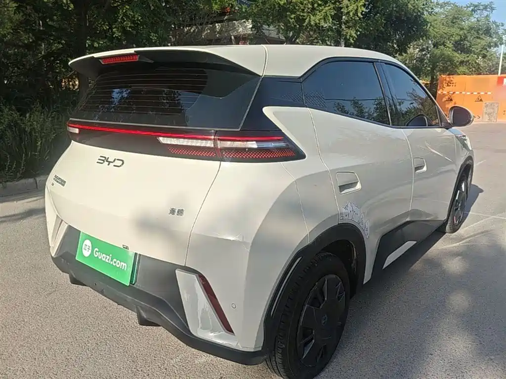 BYD Seagull 2024 Glory Edition 305km Vitality Edition фото 7