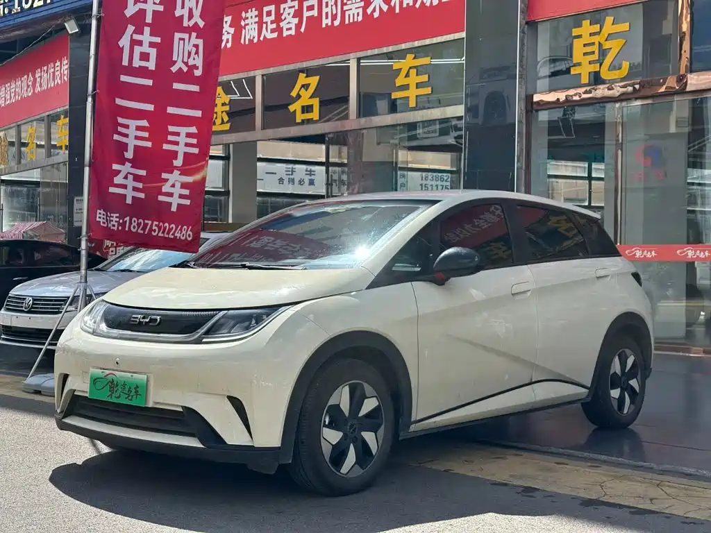 BYD Dolphin 2025 2025 420km Freedom Edition