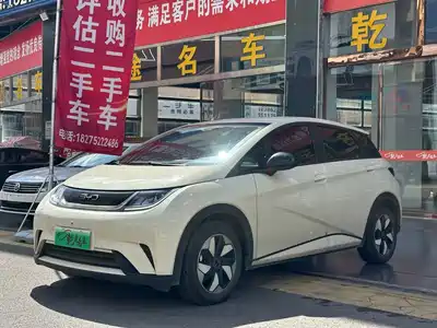 BYD Dolphin