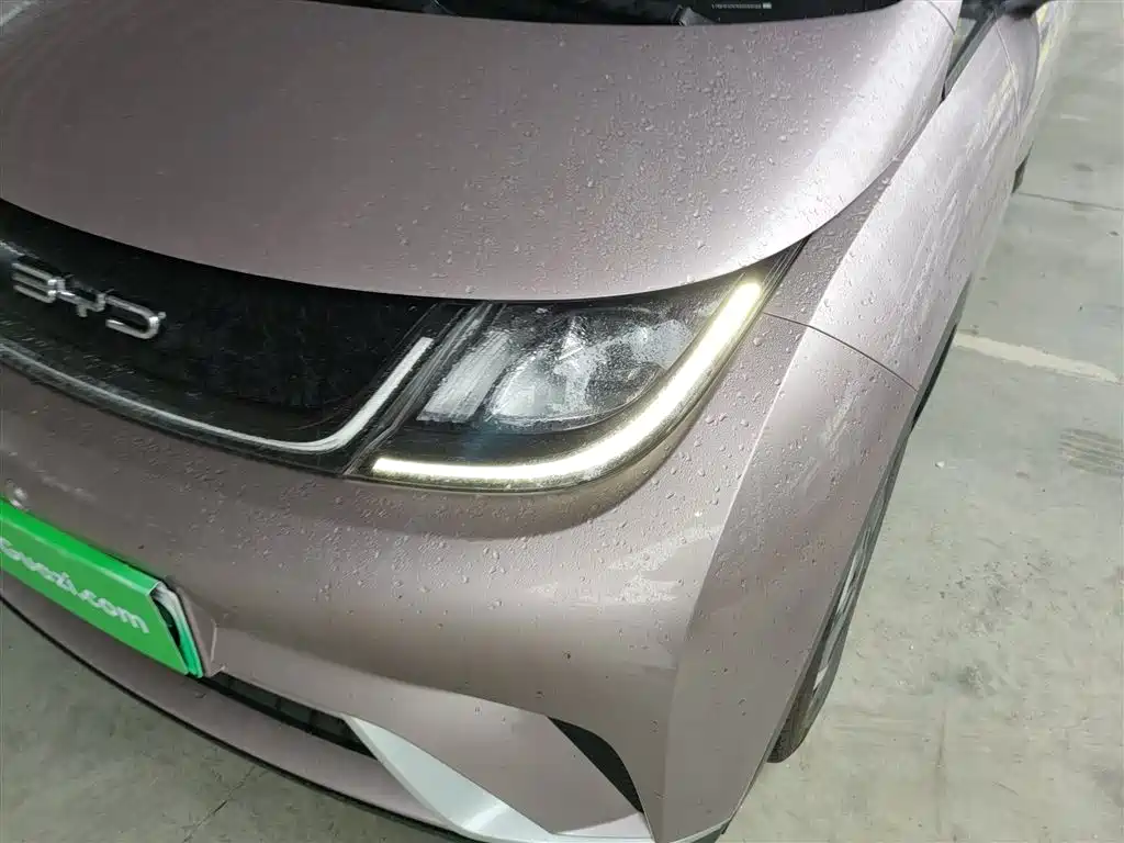 BYD Dolphin 2021 Model 405km Fashion Edition фото 24