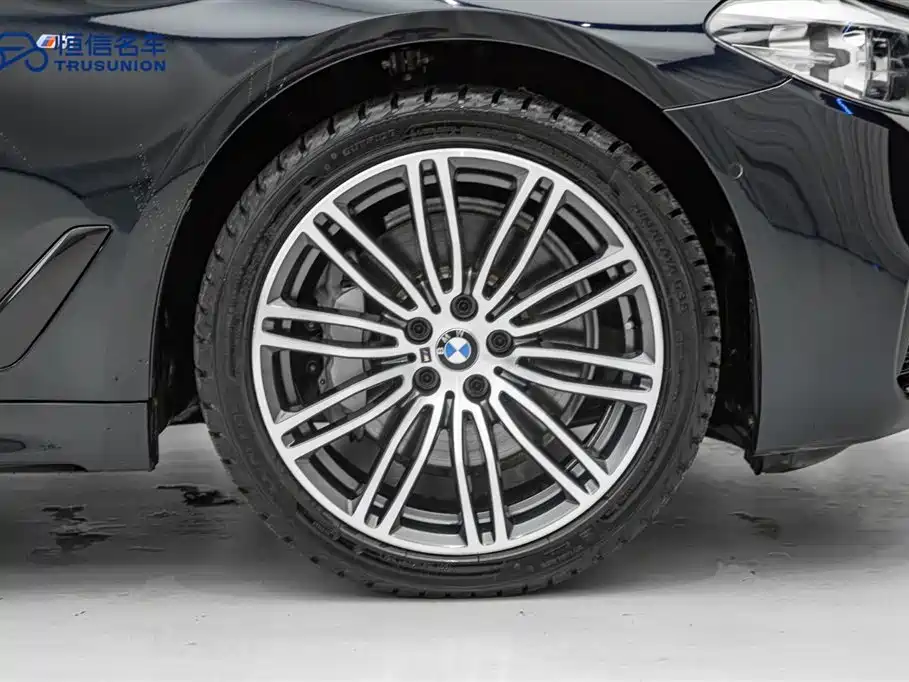 BMW 5 Series 2019 530Li xDrive M Sport Package фото 7