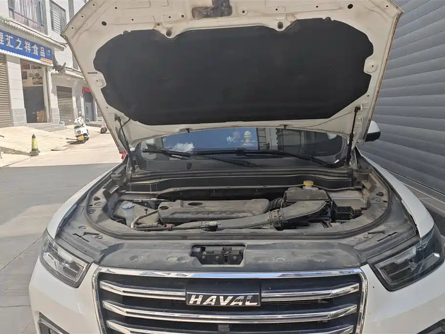 Haval H6 2019 2.0GDIT Automatic Luxury Smart Connect Edition China V фото 10