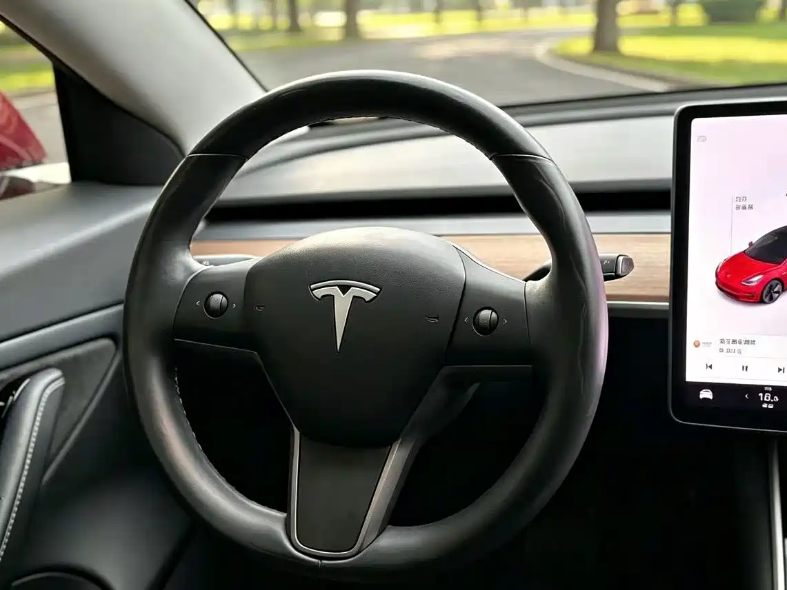 Tesla Model 3 (Import) 2019 2019 Long Range RWD Version