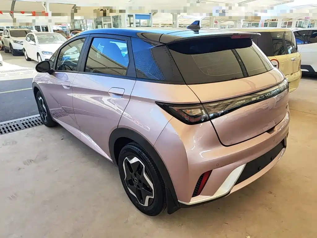 Фото 5 - BYD Dolphin