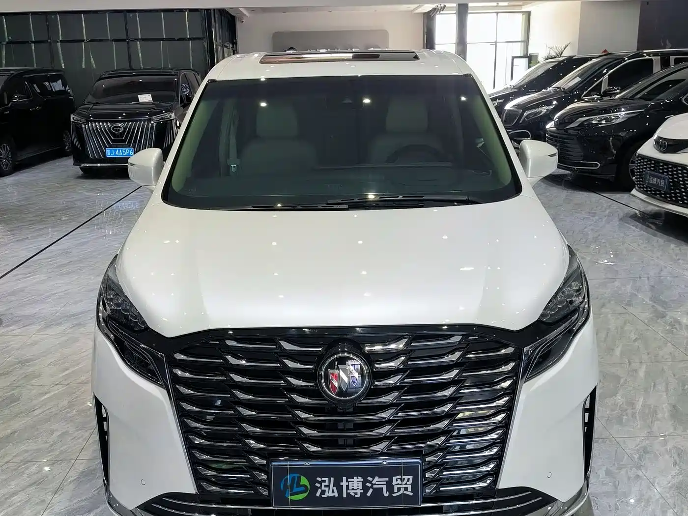 Buick GL8 2023 ES Landmaster Exclusive фото 2