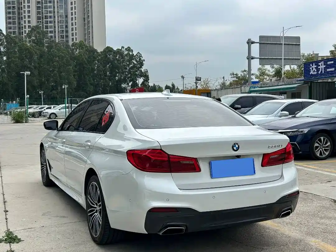BMW 5 Series 2019 530Li Leading M Sport Package фото 6