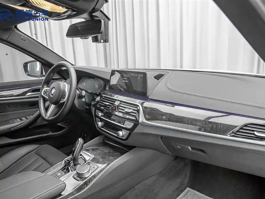 BMW 5 Series 2020 530Li Leading M Sport Package фото 14