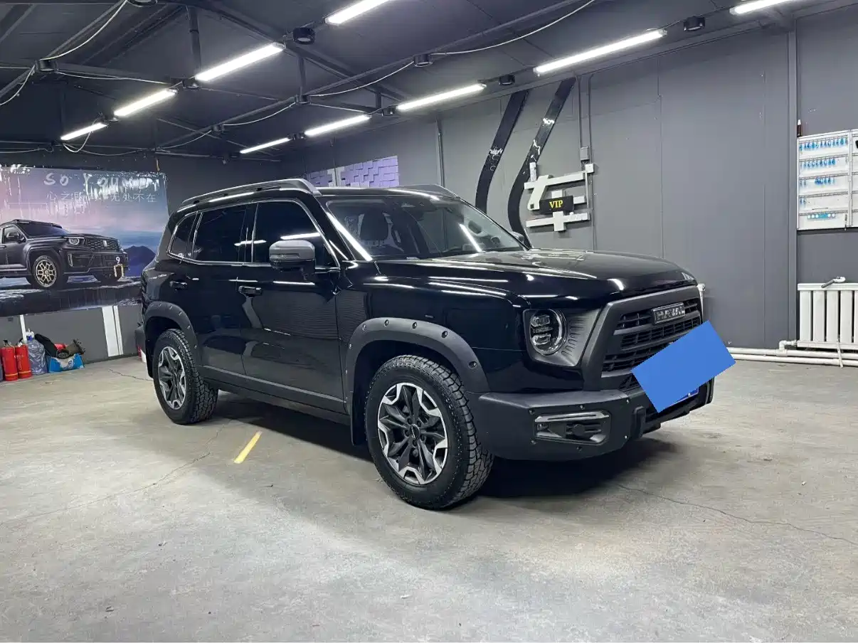 Фото 3 - Haval Dargo