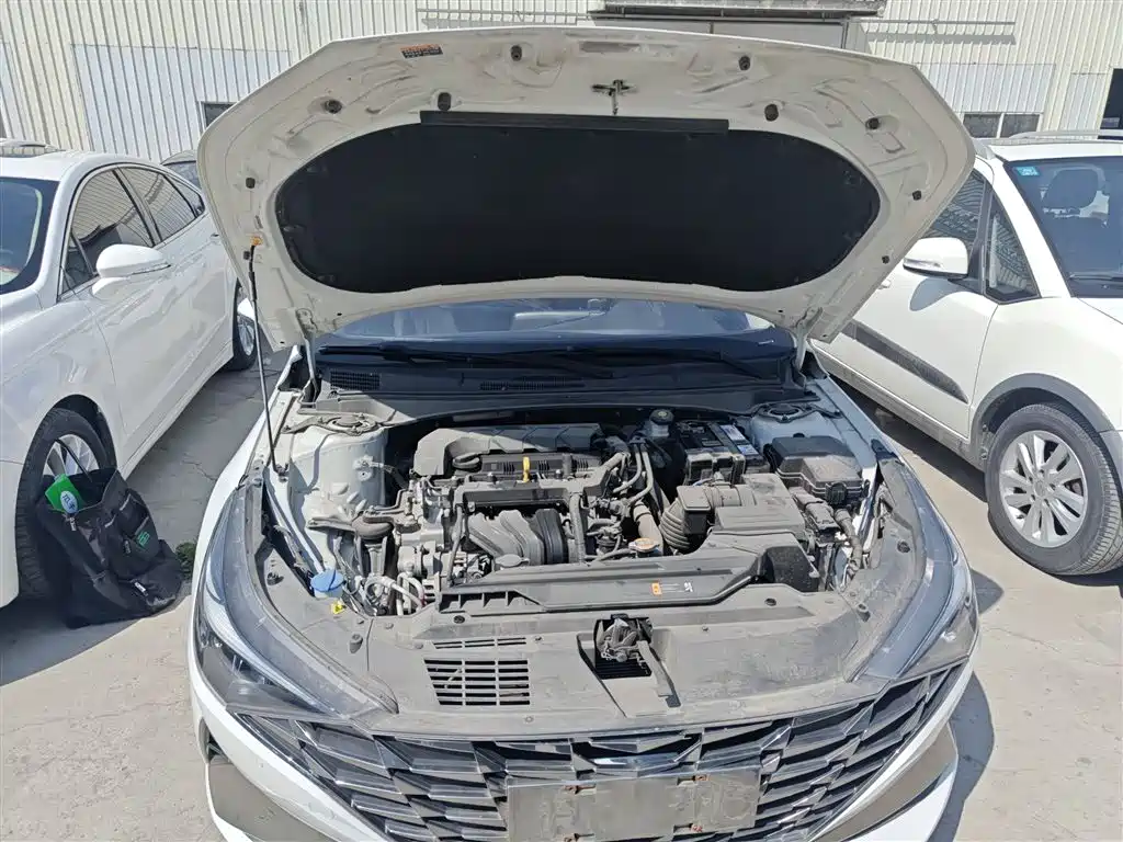 Hyundai Elantra 2022 1.5L CVT LUX Premium Edition фото 16