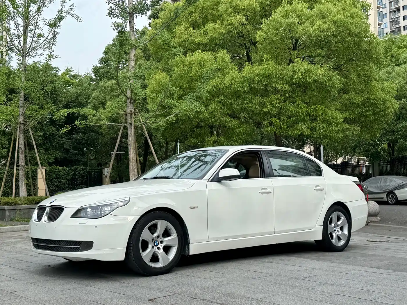 BMW 5 Series 2010 520Li Luxury
