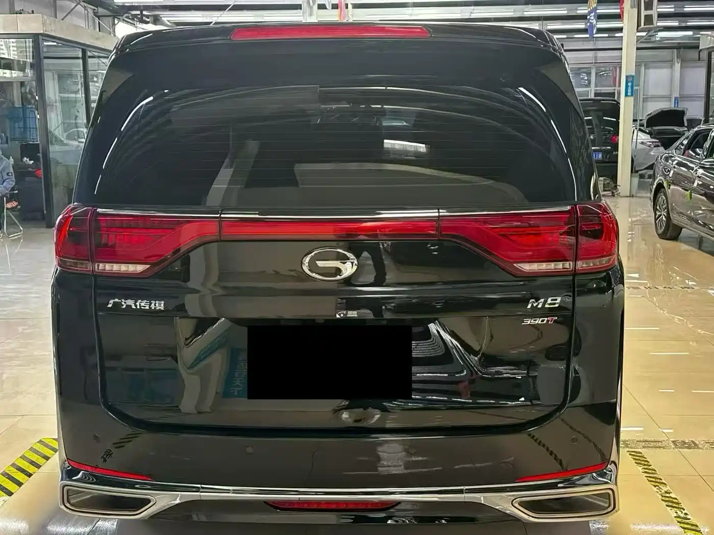 GAC Trumpchi Trumpchi M8 2024 Leadershow Series 390T Luxury Edition фото 4