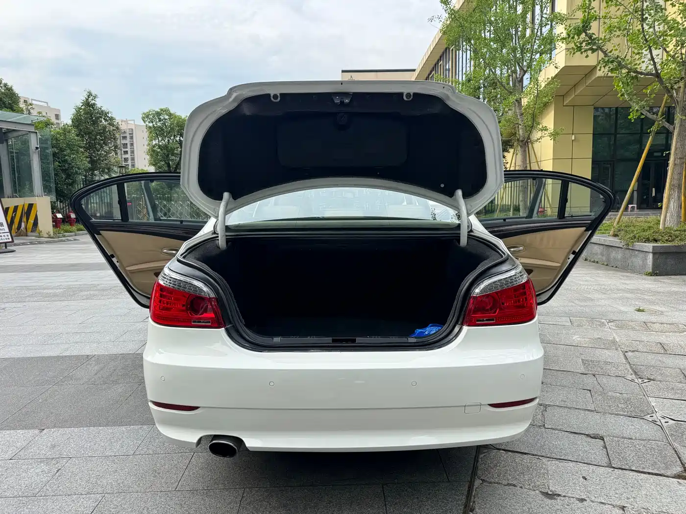 BMW 5 Series 2010 520Li Luxury фото 12