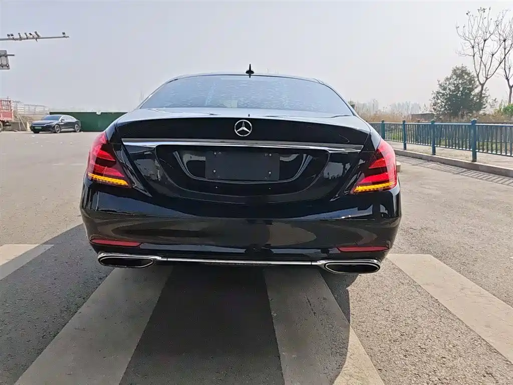 Mercedes-Benz S-Class 2019 S 320 L фото 6