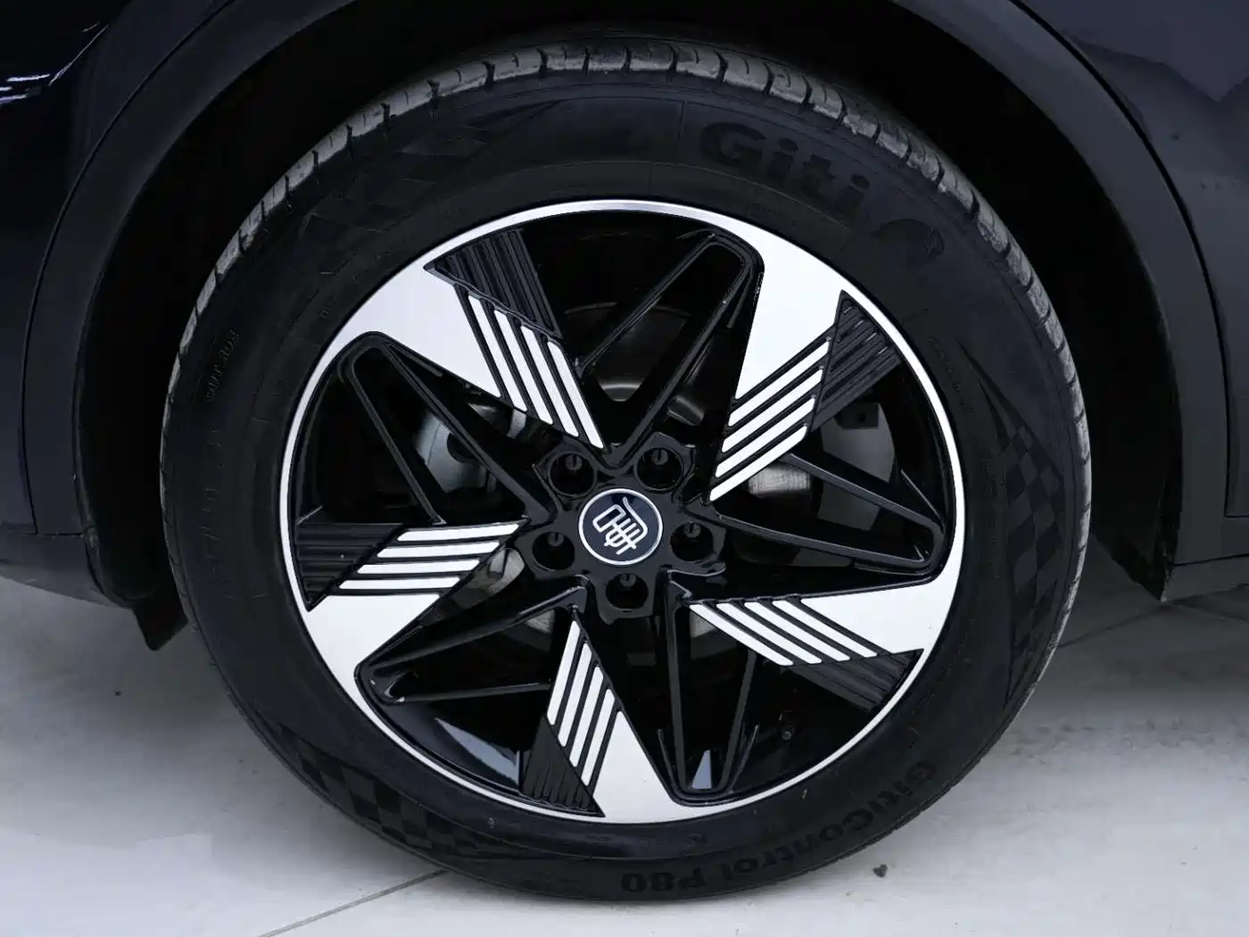 BYD Tang New Energy 2023 Model DM-i Champion Edition 112KM Honor фото 12