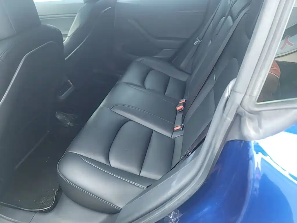 Tesla Model 3 2020 2020 Standard Range Rear-Wheel Drive Upgrade