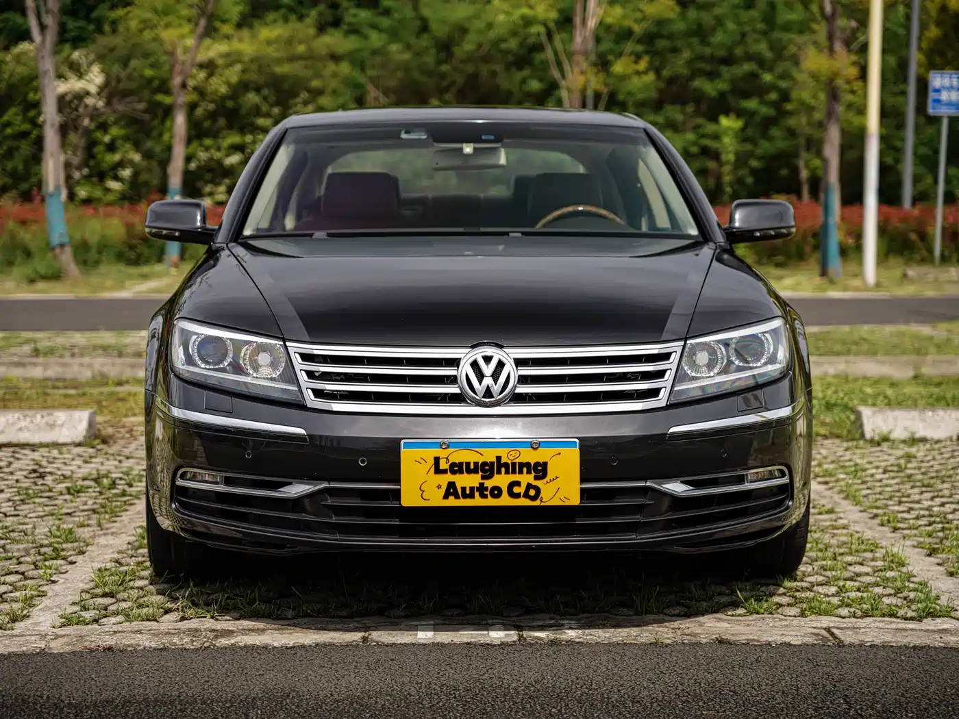 Volkswagen Phaeton 2012 3.0L Elite Custom фото 2