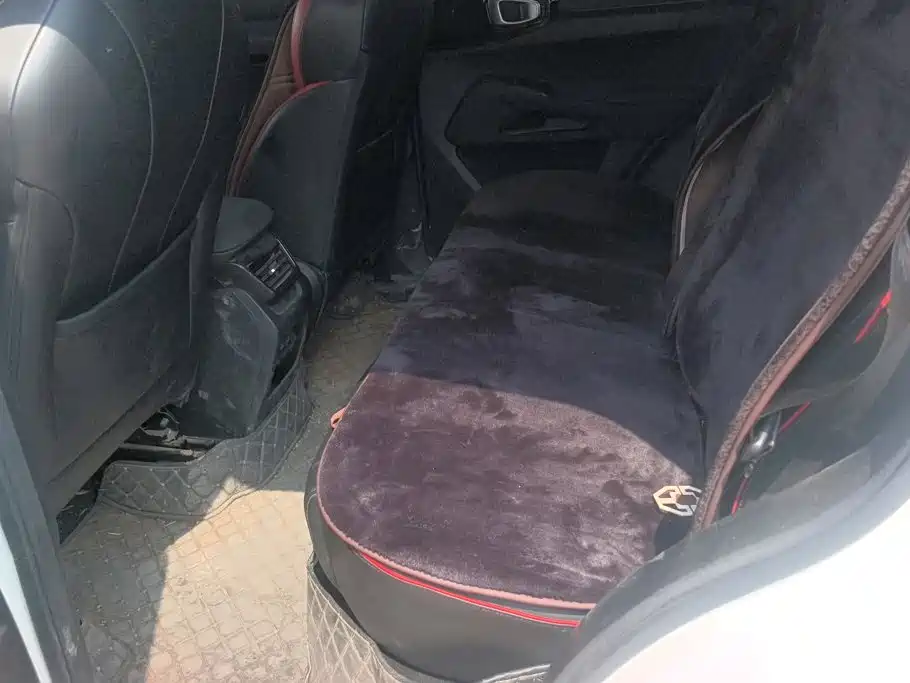 Haval Cool Dog 2023 2022 1.5T DCT 2WD Trend Edition