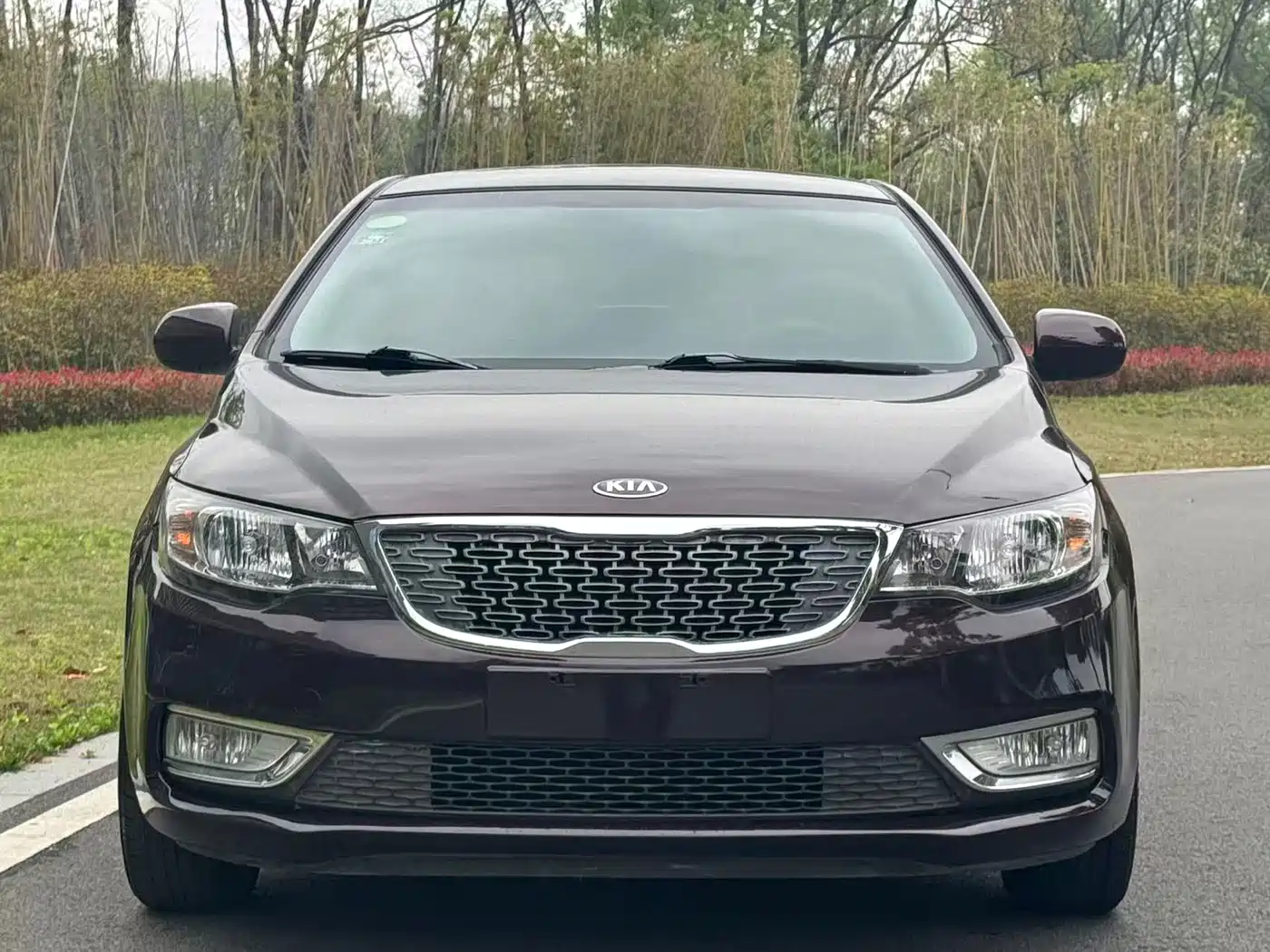 Kia Forte 2014 1.6L MT GL фото 2
