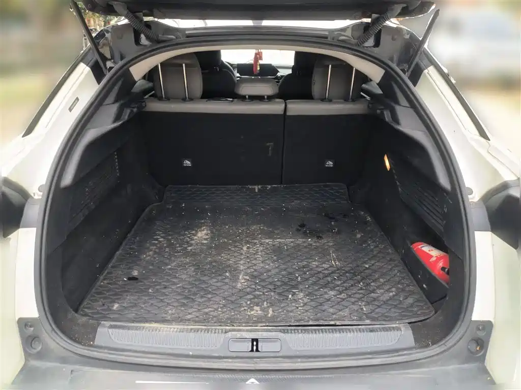 CITROEN VERSAILLES C5 X