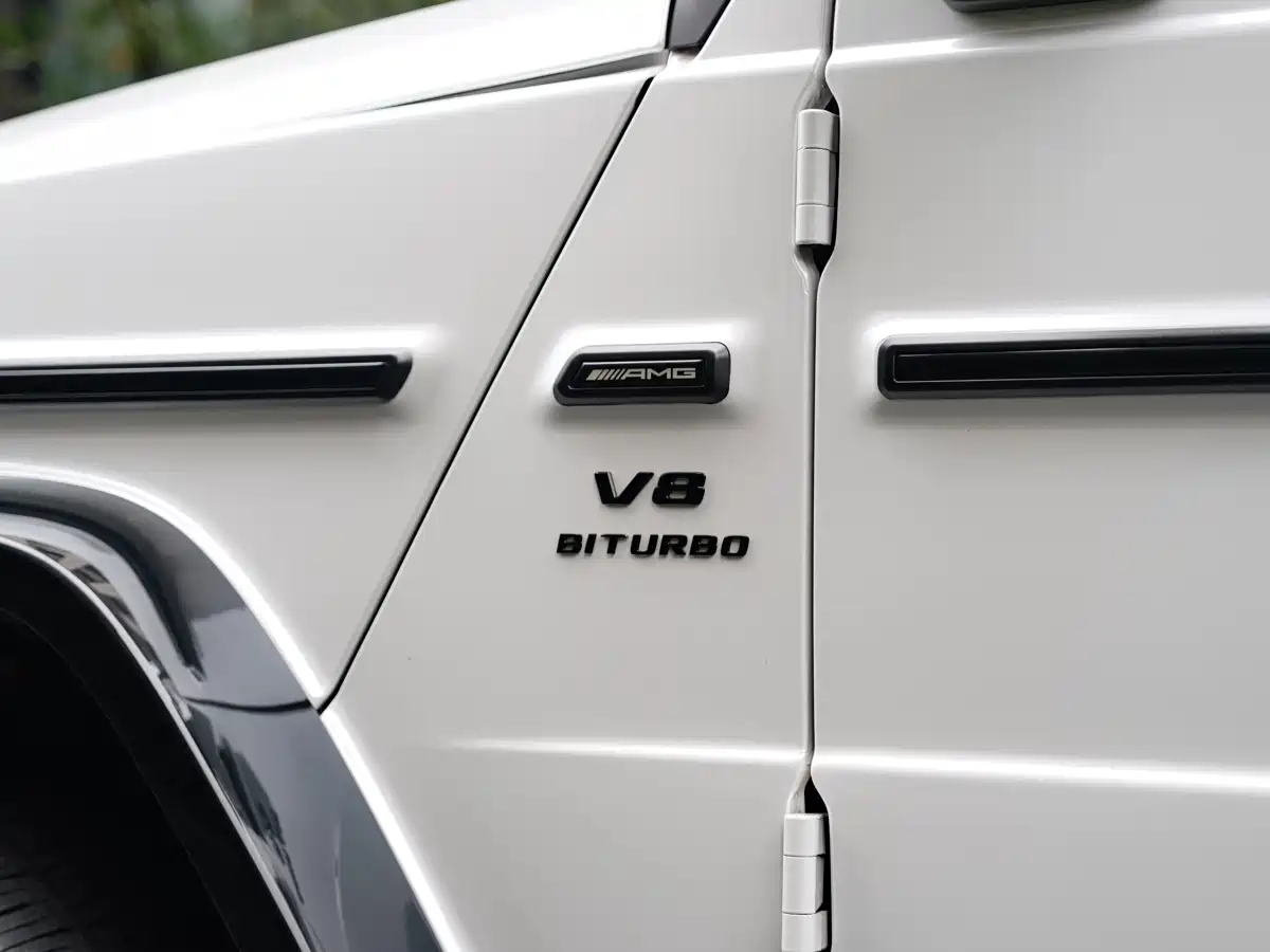 Фото 6 - Mercedes-Benz G-Class