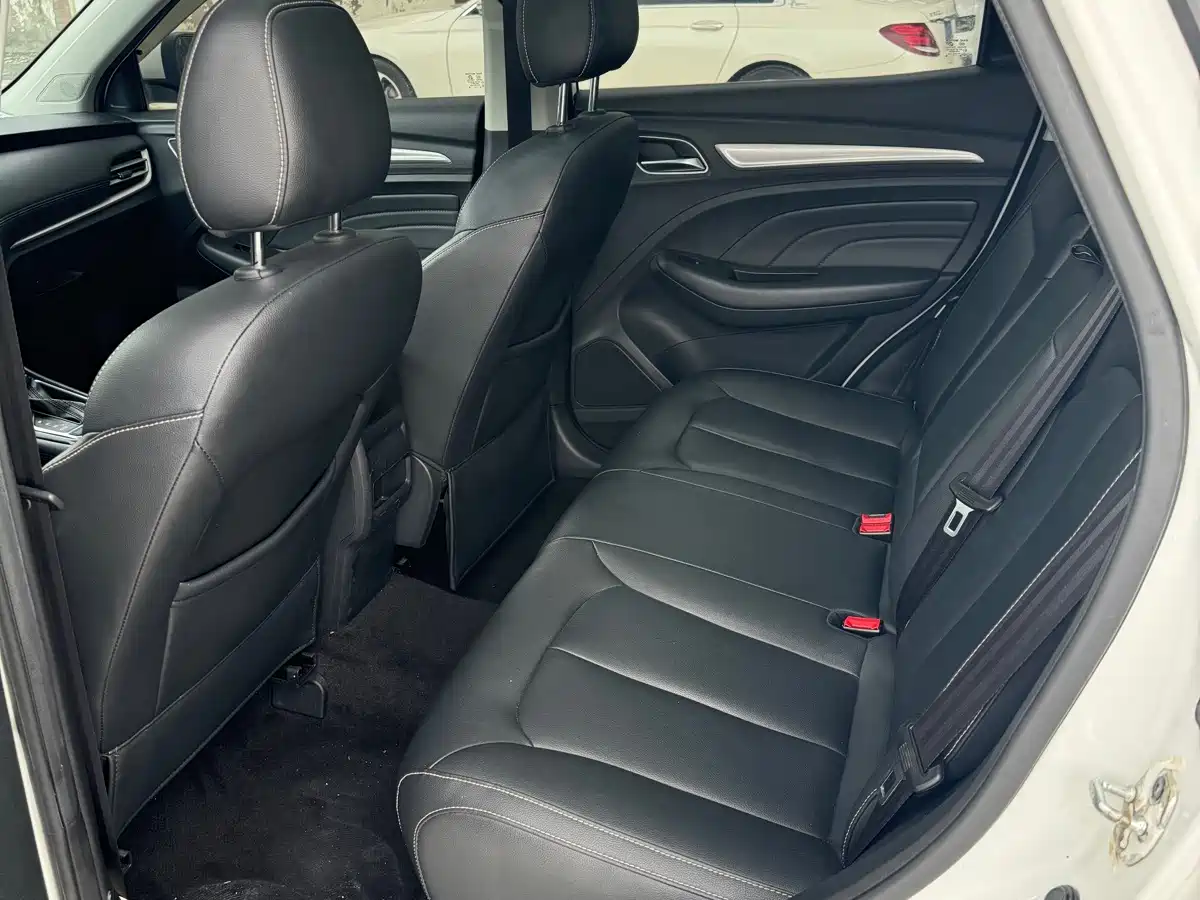 Фото 6 - Roewe RX3