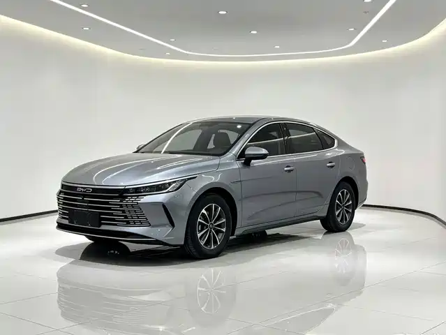  BYD Destroyer 05 2023 Champion Edition DM-i 55KM Luxury