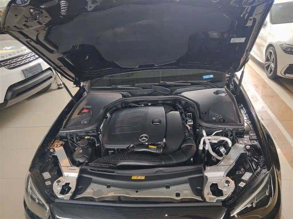 Mercedes-Benz E-Class 2021 Facelift E 300 L Luxury фото 20
