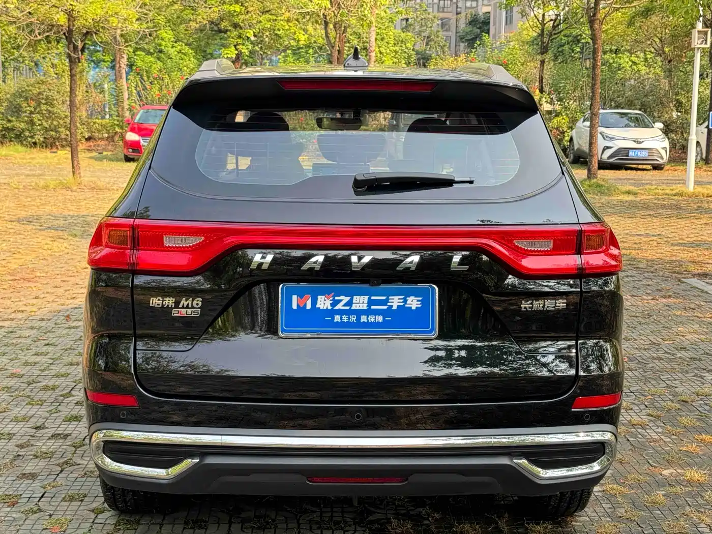 HAVAL M6