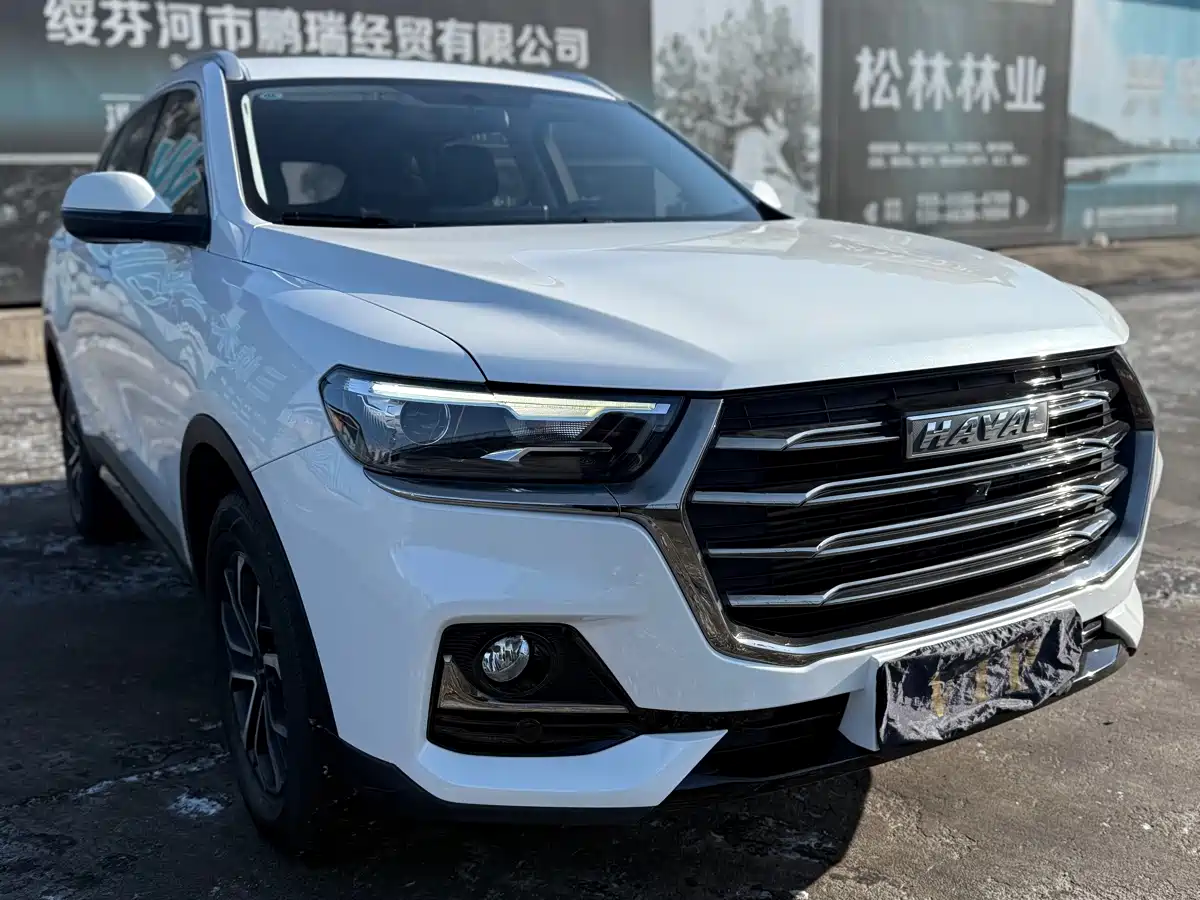 Haval H6 2023 National Trend Edition 1.5T Automatic Urban фото 24