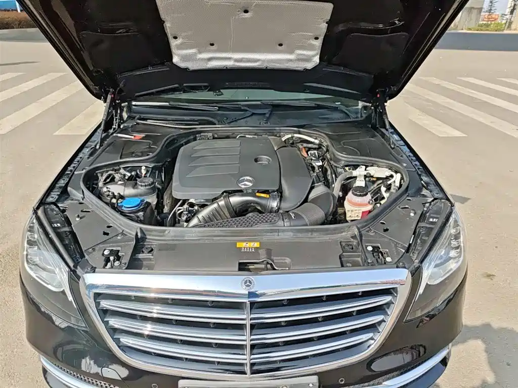 Mercedes-Benz S-Class 2019 S 320 L фото 20
