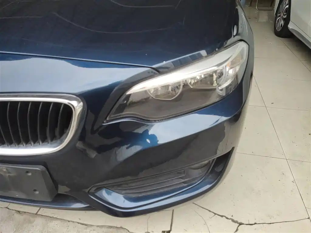 BMW 2 Series (Import) 2015 218i фото 18