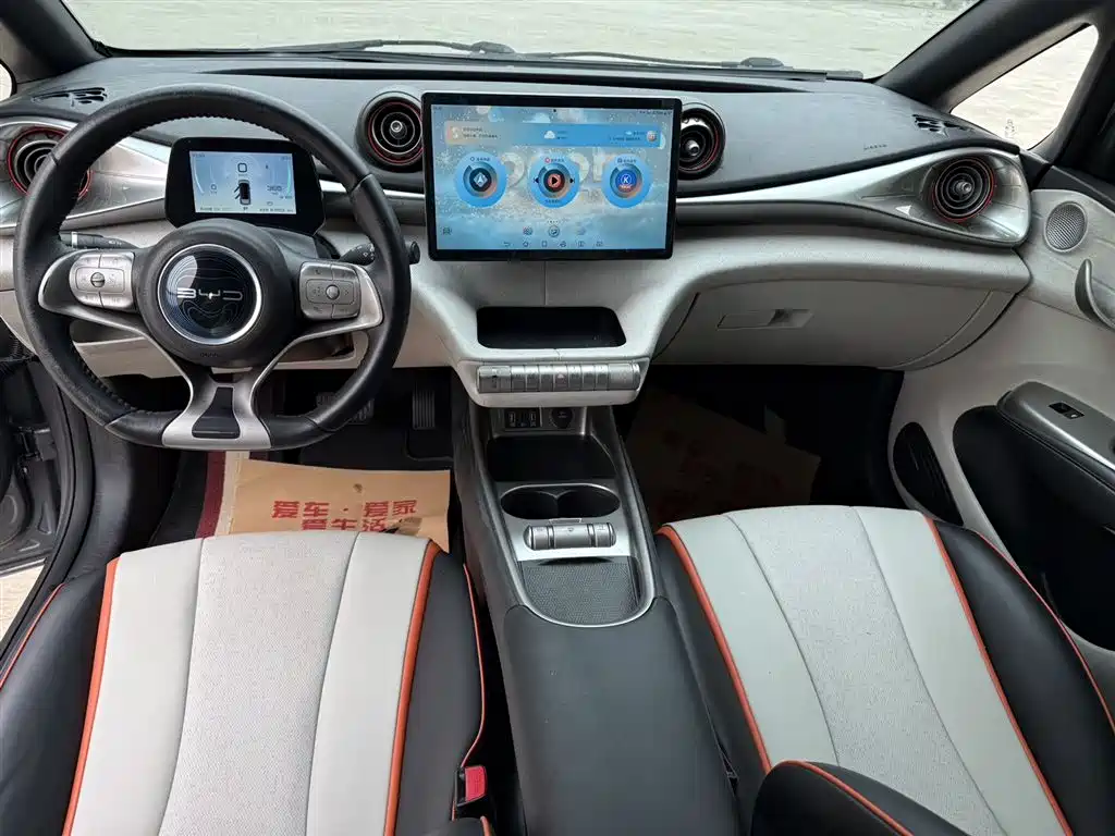 BYD Dolphin 2021 Model 405km Fashion Edition фото 6