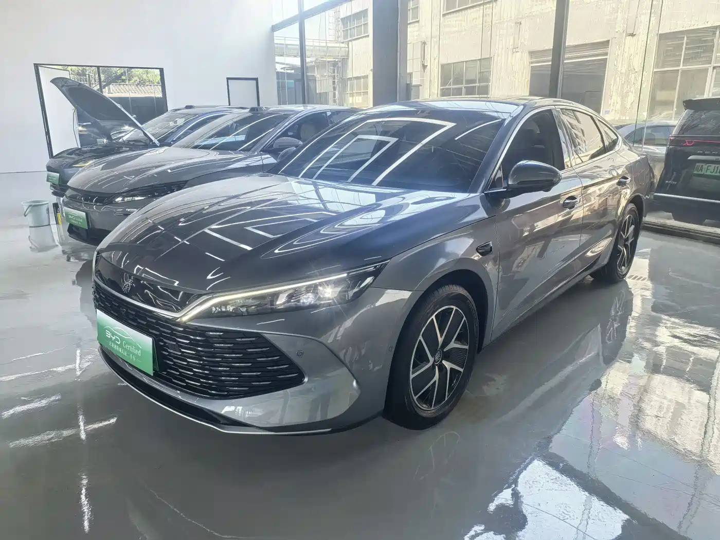 BYD QIN L