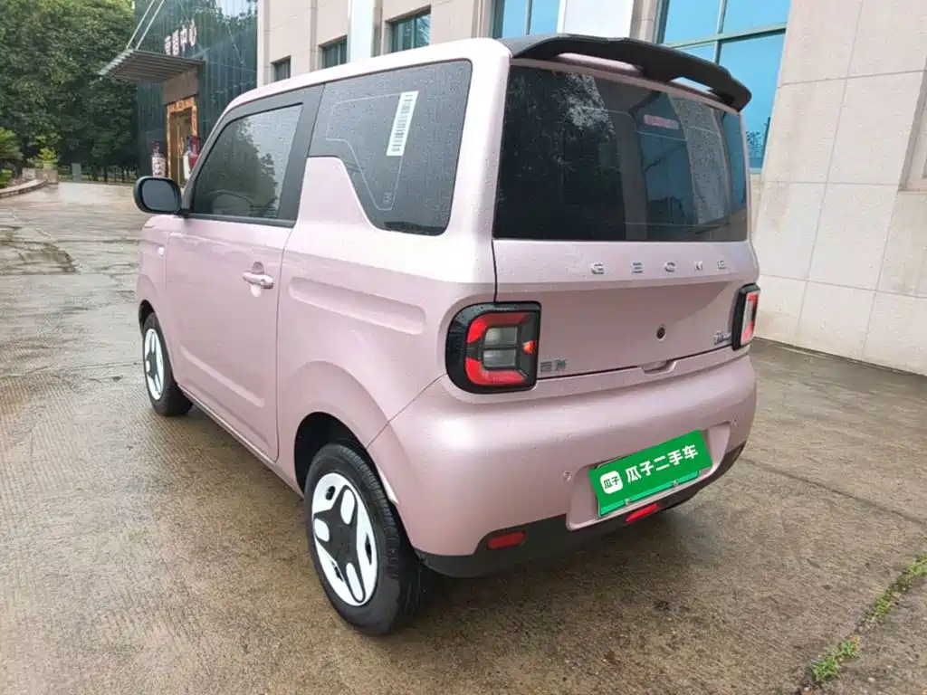 Фото 5 - Geely Galaxy Panda